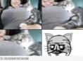 /album/gatomeme/gato-meme-jpg/